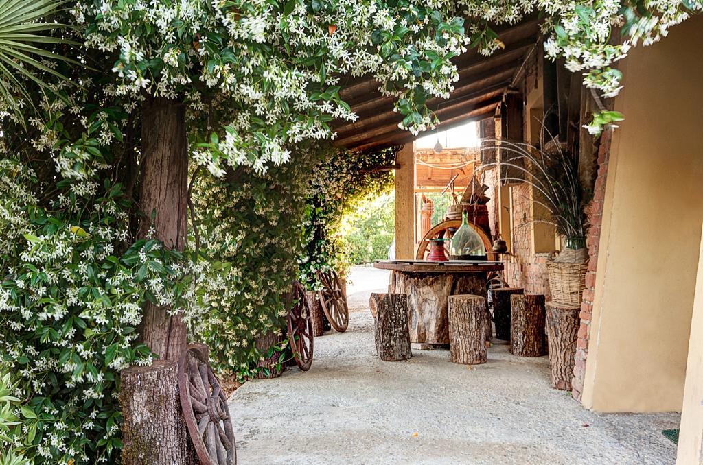 Appartamenti Alcantara E Damasco Abbadia di Montepulciano Rum bild